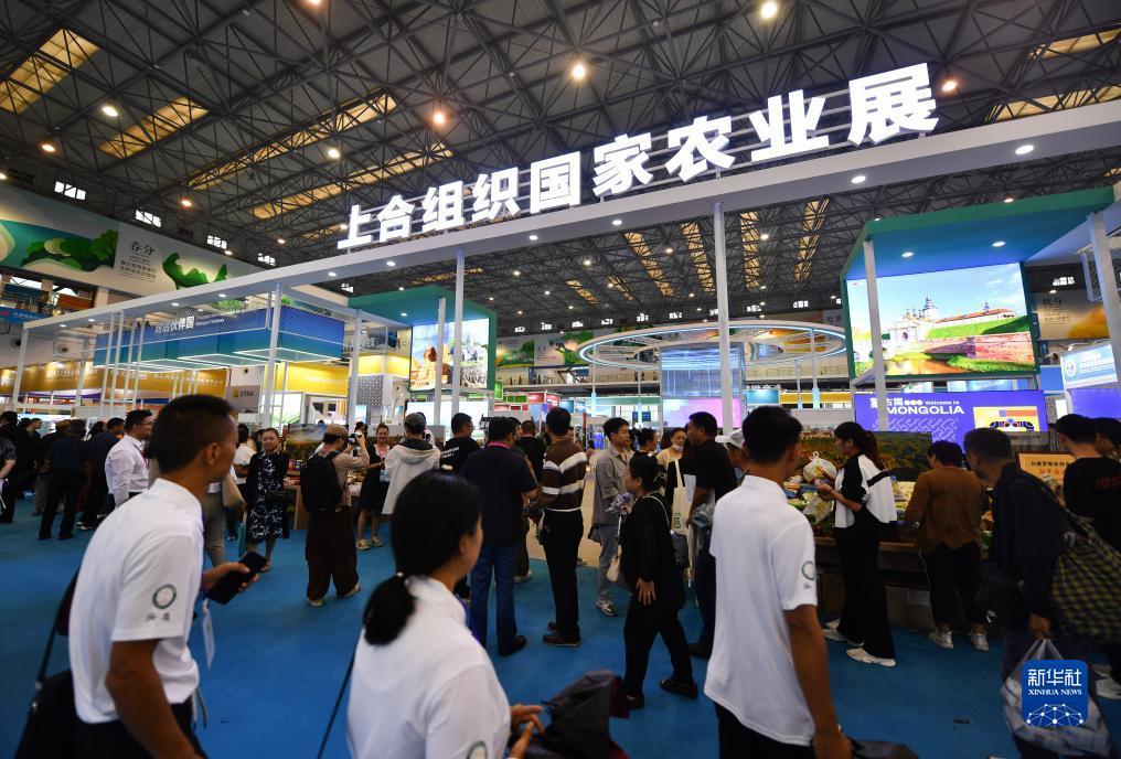 威尼斯官方网站登录